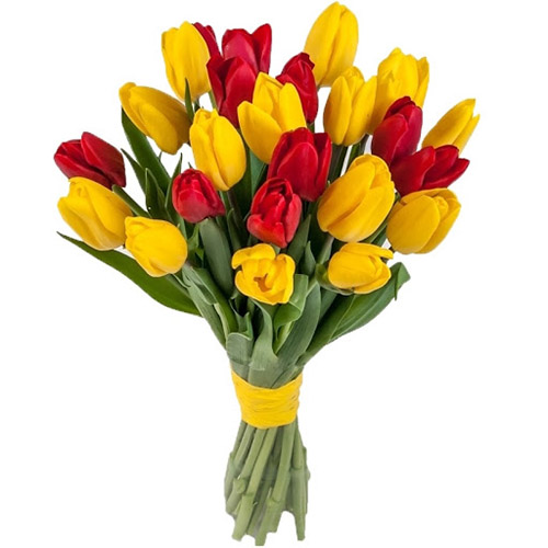 Букет из 15 красно-желтых тюльпанов
